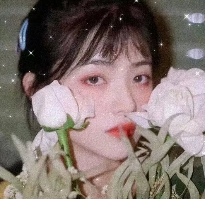 恶灵坎蒂莎